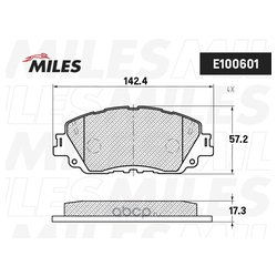 MILES E100601