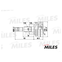 MILES GA20365