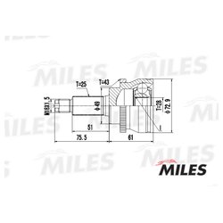 MILES GA20436