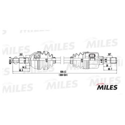 MILES GC01053