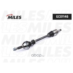MILES GC01146