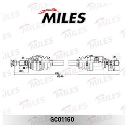 MILES GC01160