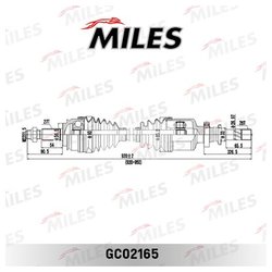 MILES GC02165