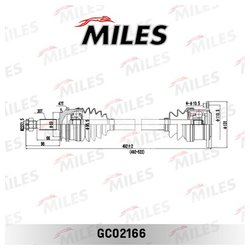 MILES GC02166