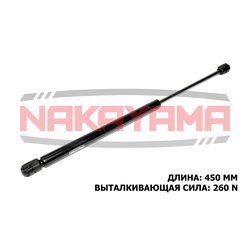 Nakayama GS791NY
