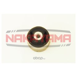 Nakayama J10099