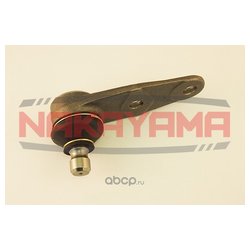 Nakayama K10007