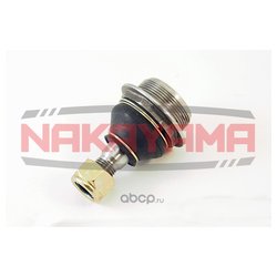 Nakayama K10011