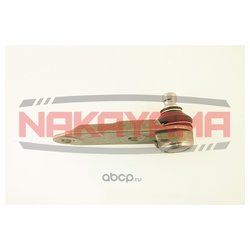 Nakayama K10018