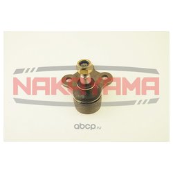 Nakayama K10020