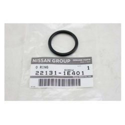Nissan 22131-1E401