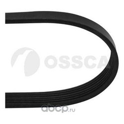 Ossca 24823