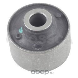 Ossca 79606