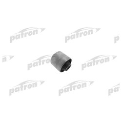 Patron PSE10727