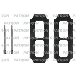 Patron PSRK1031