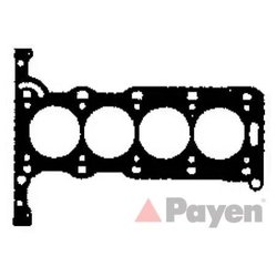 Payen AB5240