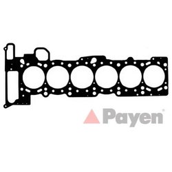 Payen AC5900