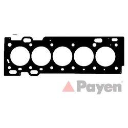 Payen AE5560