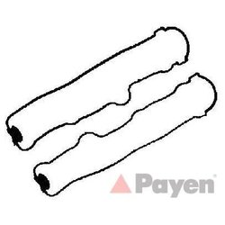 Payen HM5294