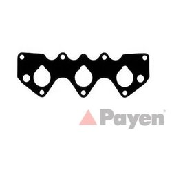 Payen JA5079