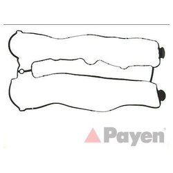 Payen JP016