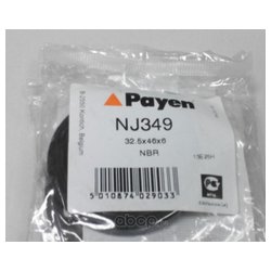 Payen NJ349