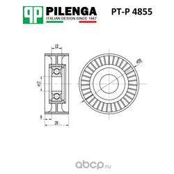 Pilenga PT-P 4855