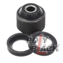 PolyBlack N061723