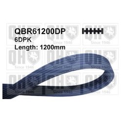 Quinton Hazell QBR61200DP