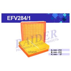 Raider EFV2841