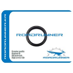 ROADRUNNER RR135100Z400