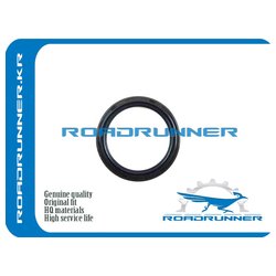 ROADRUNNER RR135106N200