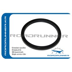 ROADRUNNER RR1634650010