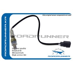 ROADRUNNER RR8946552170