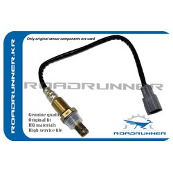 ROADRUNNER RR8946560220