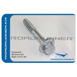 ROADRUNNER RRA0029903820