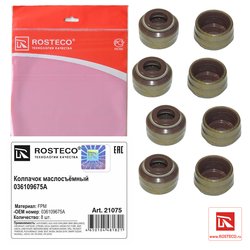 Rosteco 21075