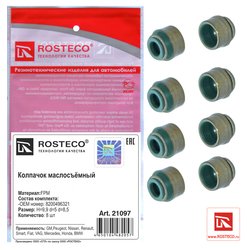 Rosteco 21097