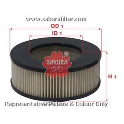 Sakura A1101