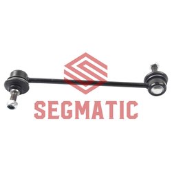 Segmatic SGRS1110