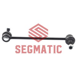 Segmatic SGRS1111