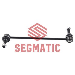 Segmatic SGRS1119