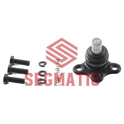 Segmatic SGS8118