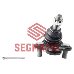 Segmatic SGS8119