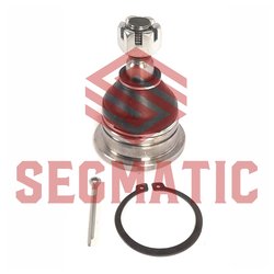 Segmatic SGS8139