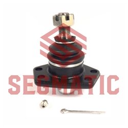 Segmatic SGS8167