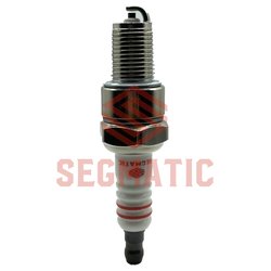 Segmatic SGSP9007