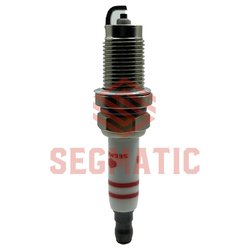 Segmatic SGSP9009