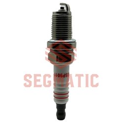 Segmatic SGSP9011