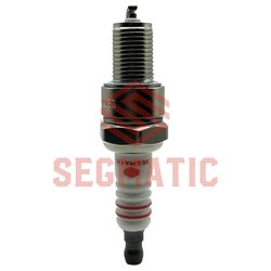 Segmatic SGSP9013